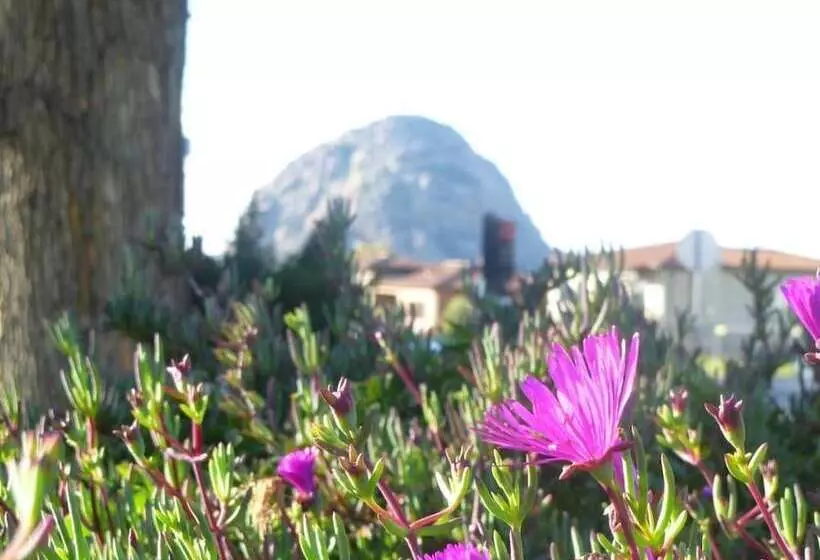 ホテル Morro Bay Sandpiper Inn