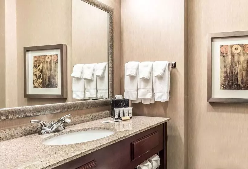 Отель Red Lion Inn & Suites Mineral Wells