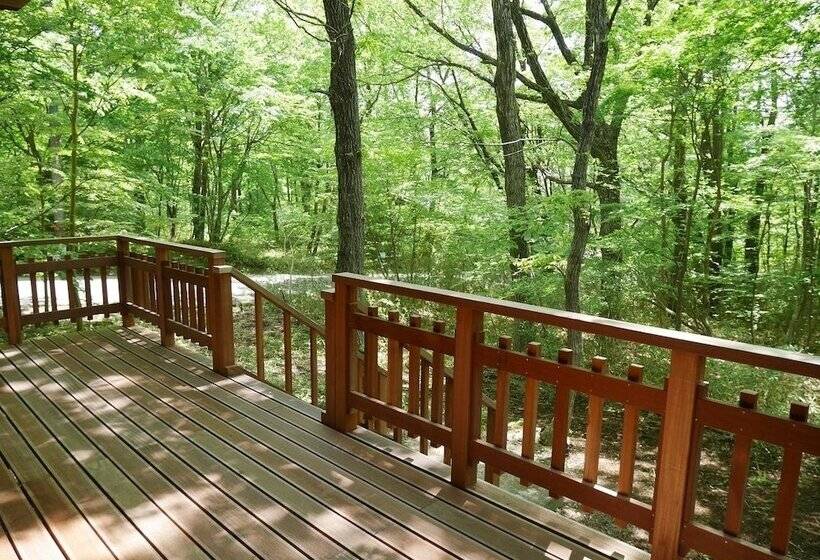 Hotel Towa Pure Cottages