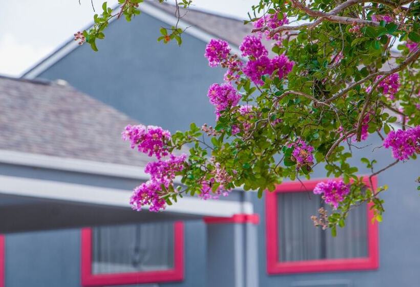 ホテル Americas Best Value Inn Donaldsonville