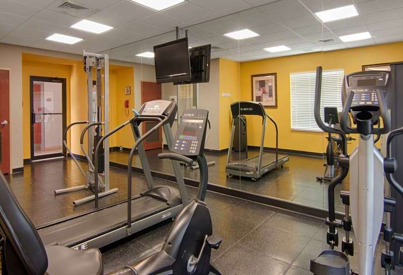 Отель Best Western Auburndale Inn & Suites