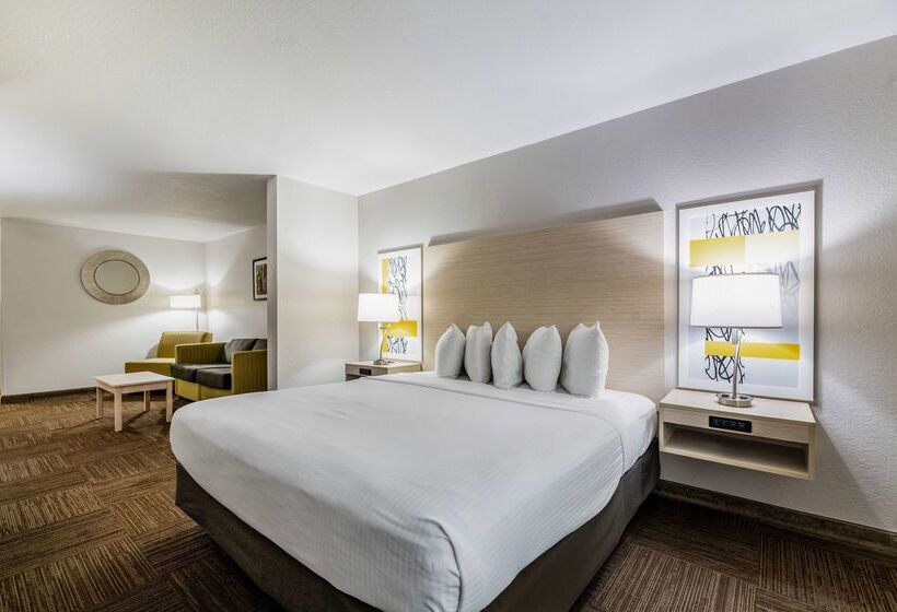 Отель Best Western Auburndale Inn & Suites