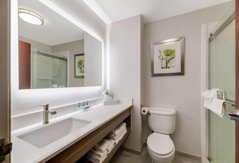 Отель Best Western Auburndale Inn & Suites