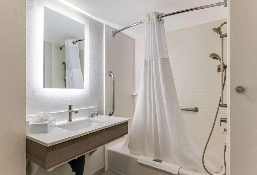 Отель Best Western Auburndale Inn & Suites