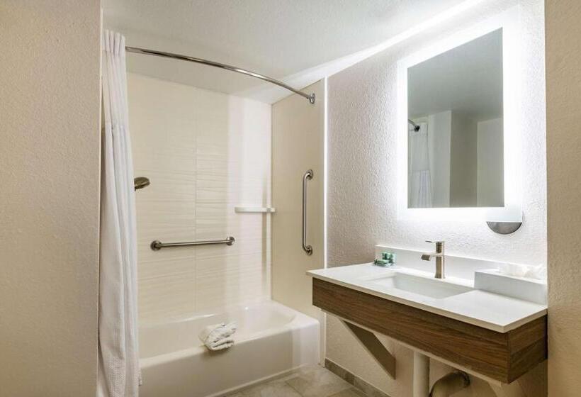 Отель Best Western Auburndale Inn & Suites