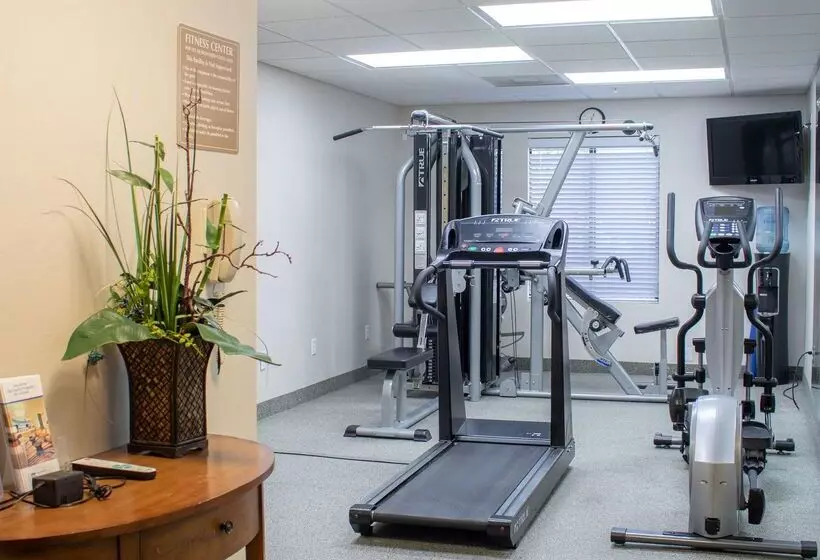 Отель Best Western Plus Richmond Hill Inn