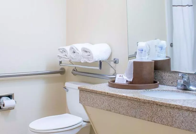 Отель Best Western Plus Richmond Hill Inn