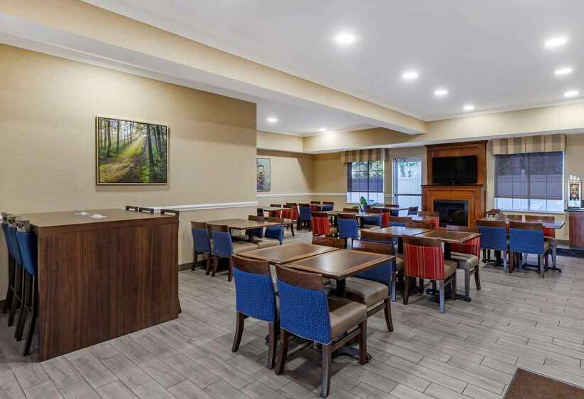 酒店 Comfort Inn & Suites