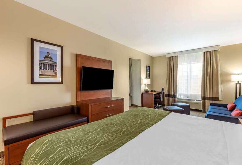 酒店 Comfort Inn & Suites