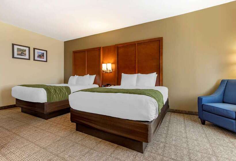 酒店 Comfort Inn & Suites