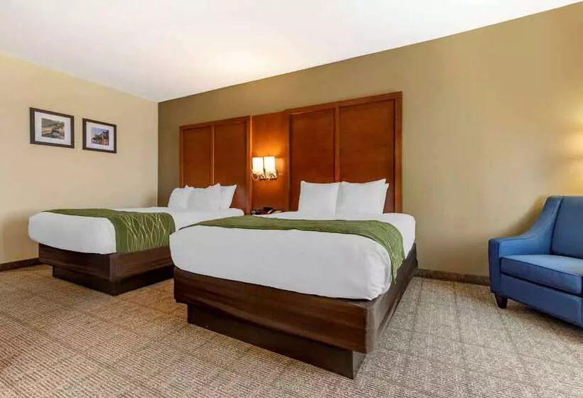 בית מלון כפרי Comfort Inn & Suites
