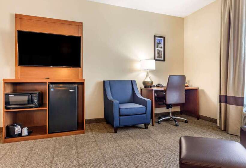 酒店 Comfort Inn & Suites