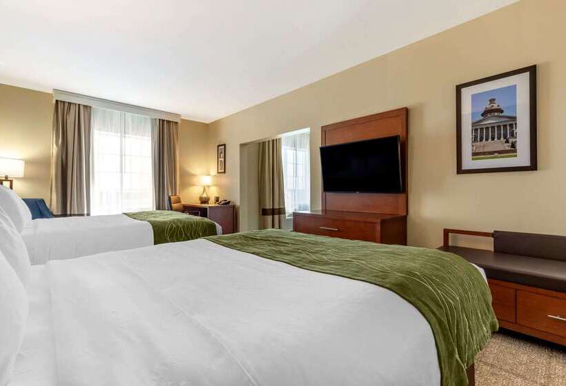 酒店 Comfort Inn & Suites