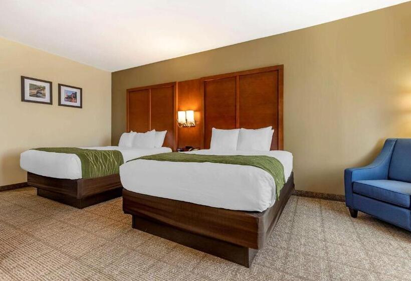 酒店 Comfort Inn & Suites