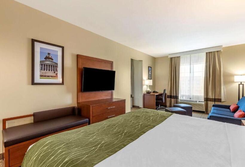 酒店 Comfort Inn & Suites