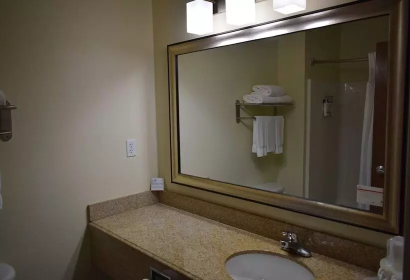 Отель Wingate By Wyndham Newell