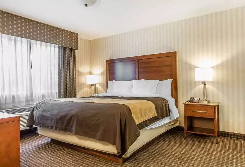 ホテル Quality Inn Half Moon Bay Miramar Beach