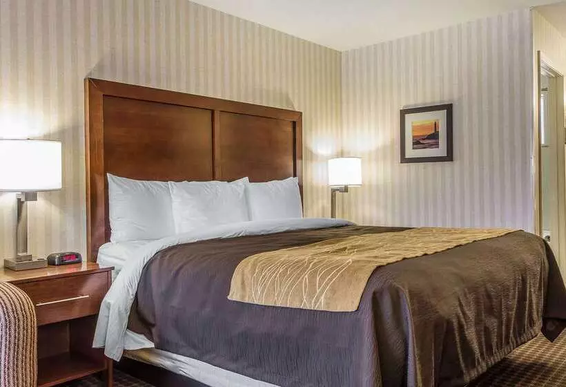 ホテル Quality Inn Half Moon Bay Miramar Beach