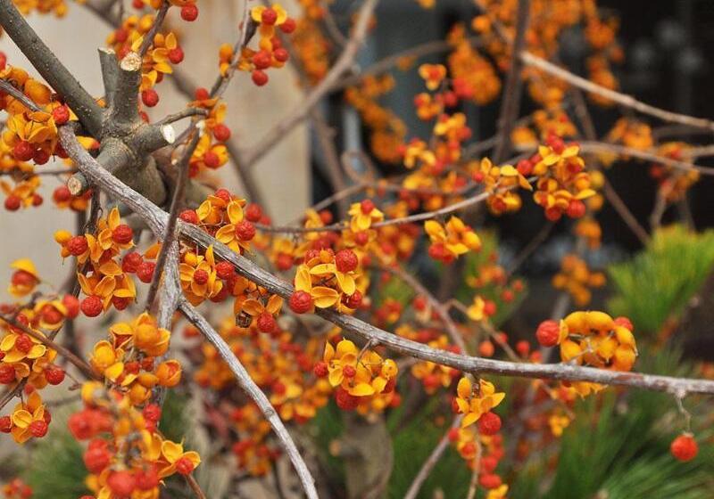 Tamana Onsen Hotel Shirasagi