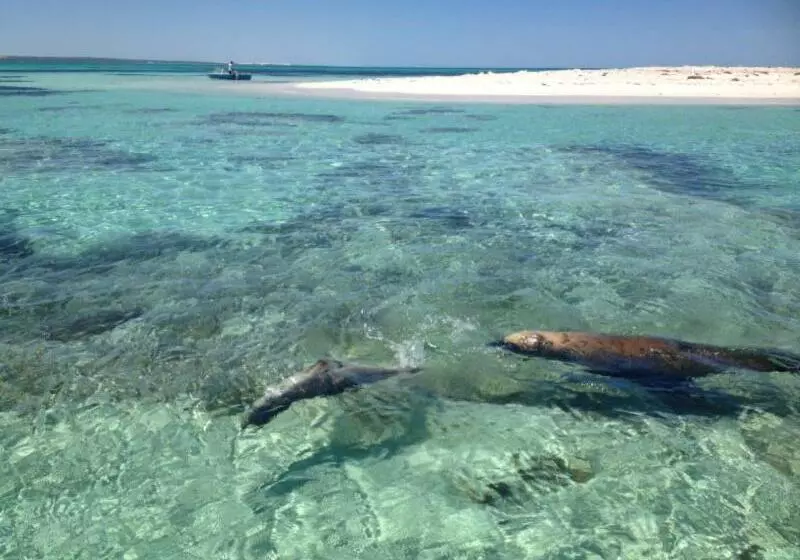 Pinnacles Edge Resort