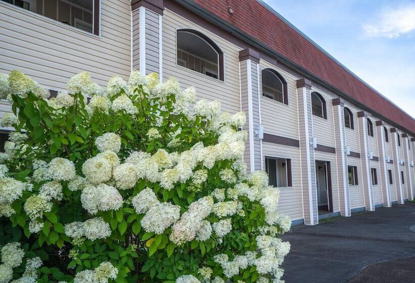 Отель All Seasons Inn & Suites