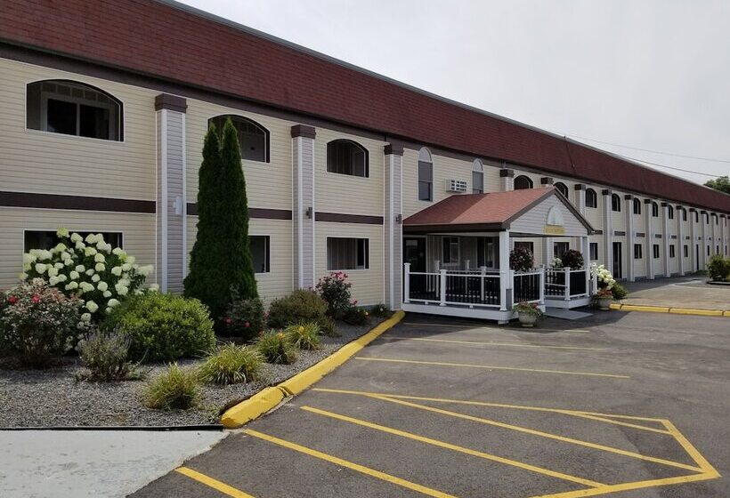 Отель All Seasons Inn & Suites