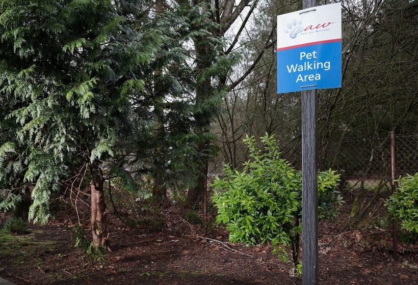 Отель Candlewood Suites Olympia   Lacey, An Ihg