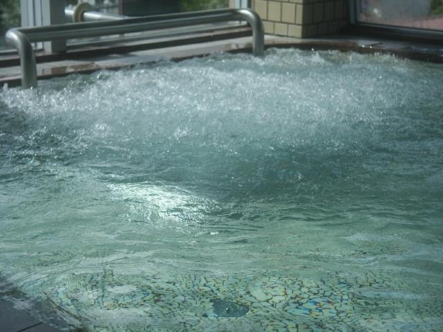 فندق Kawaguchiko