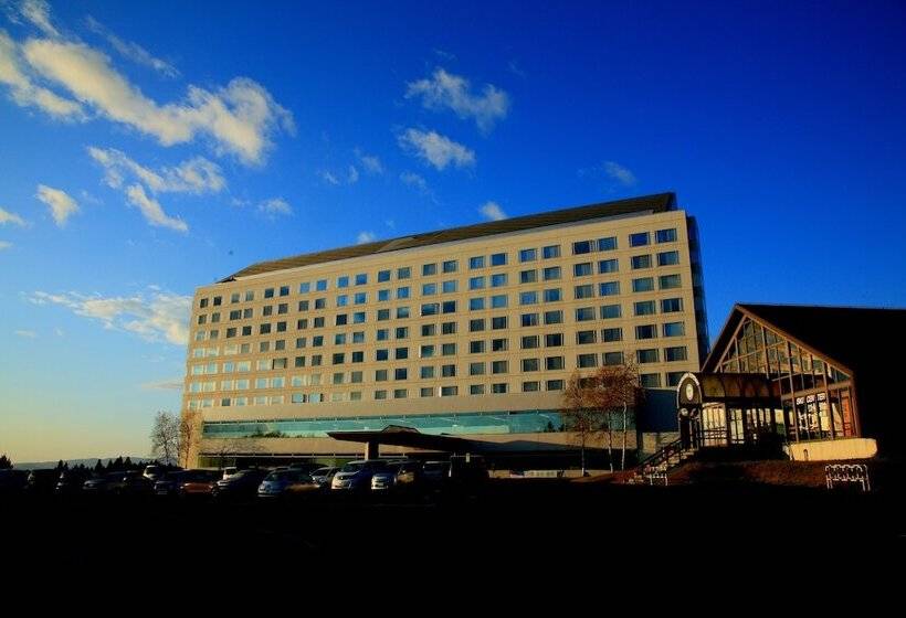 酒店 Shizukuishi Prince