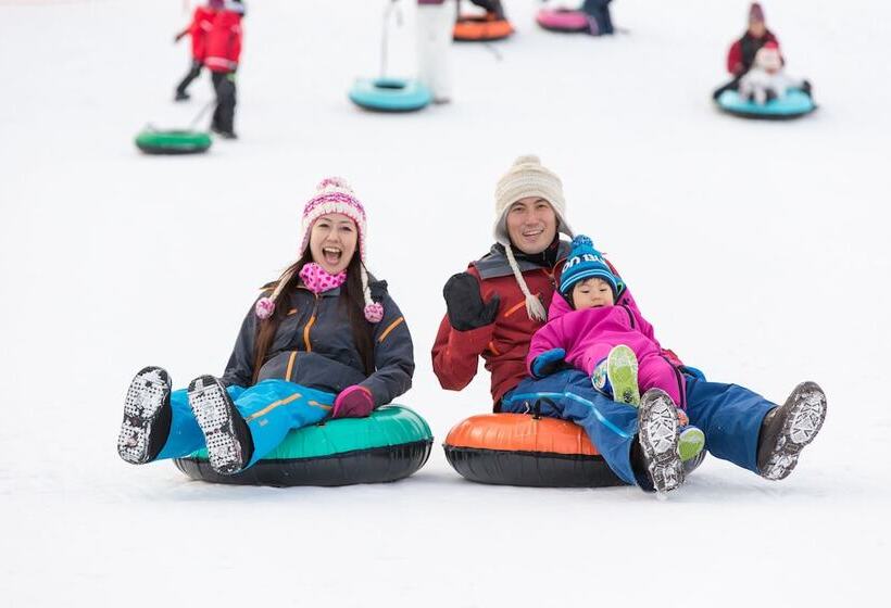 酒店 Shizukuishi Prince