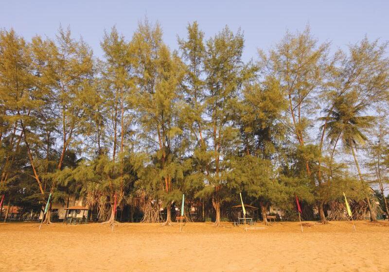 Отель The Qamar Paka