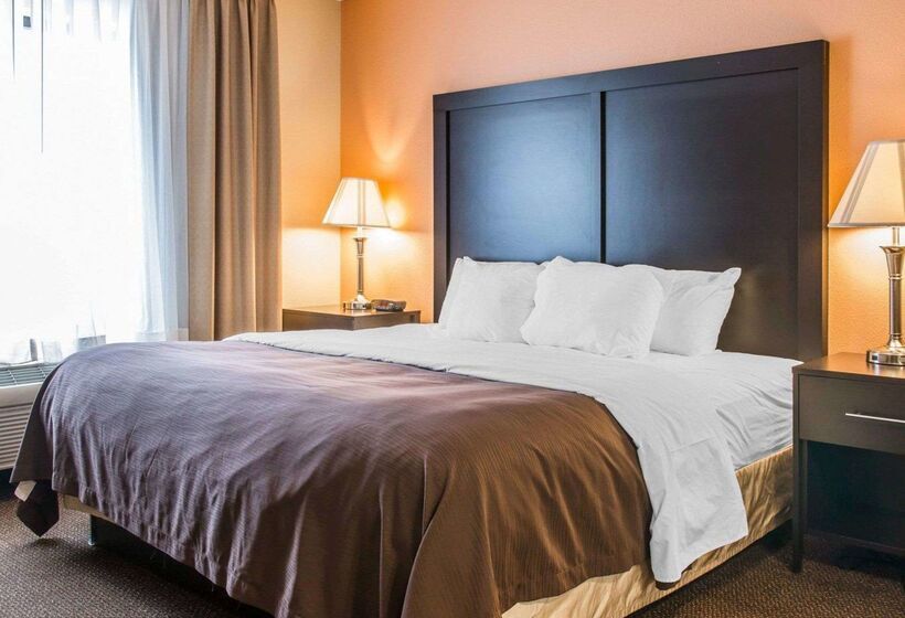 فندق Quality Inn & Suites Niles
