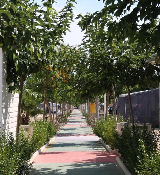 Resort Camping Almafrá