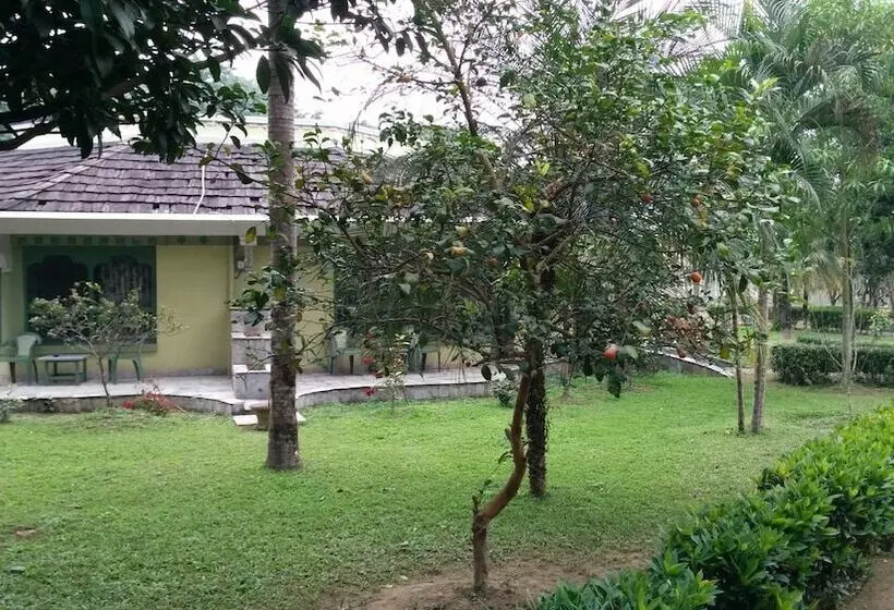 The Rhino Residency Resort