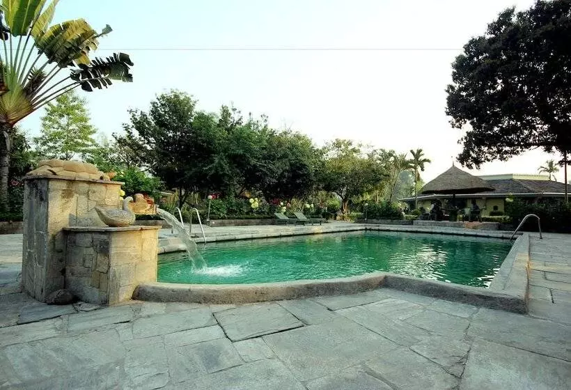 The Rhino Residency Resort