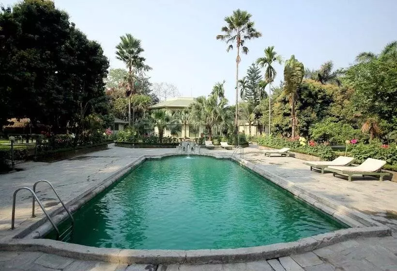 The Rhino Residency Resort