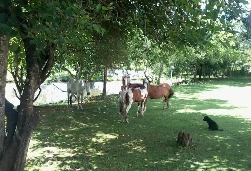 Отель Recanto Do Teimoso Pouso Alegre