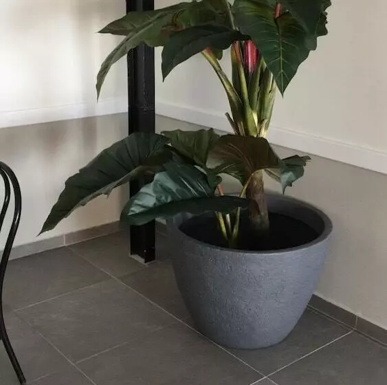 San Marco Hotel Curacao & Casino