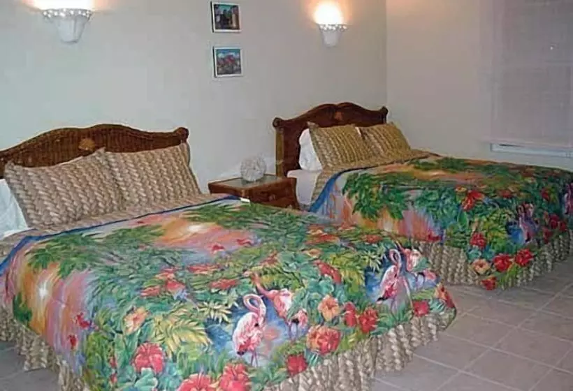 هتل Dos Angeles Del Mar Bed And Breakfast