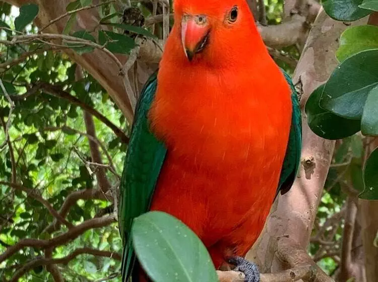 Отель Glass On Glasshouse