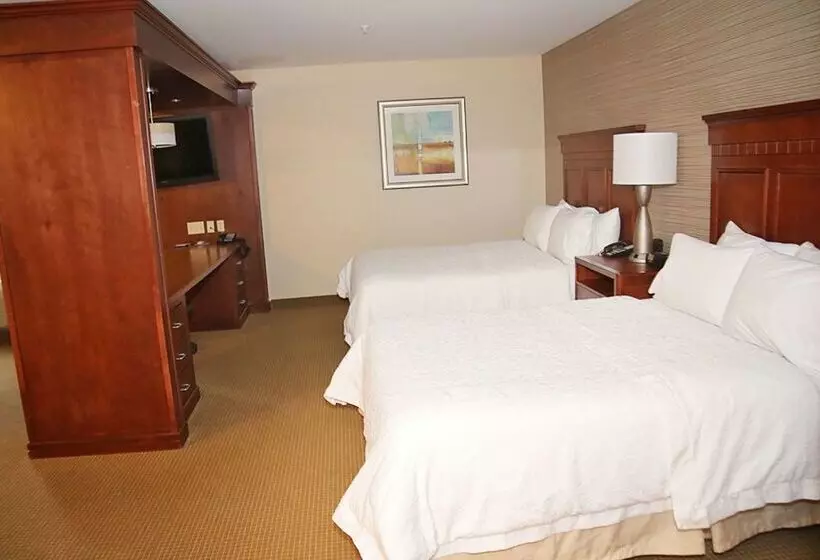 ホテル Hampton Inn Detroit/auburn Hillsnorth