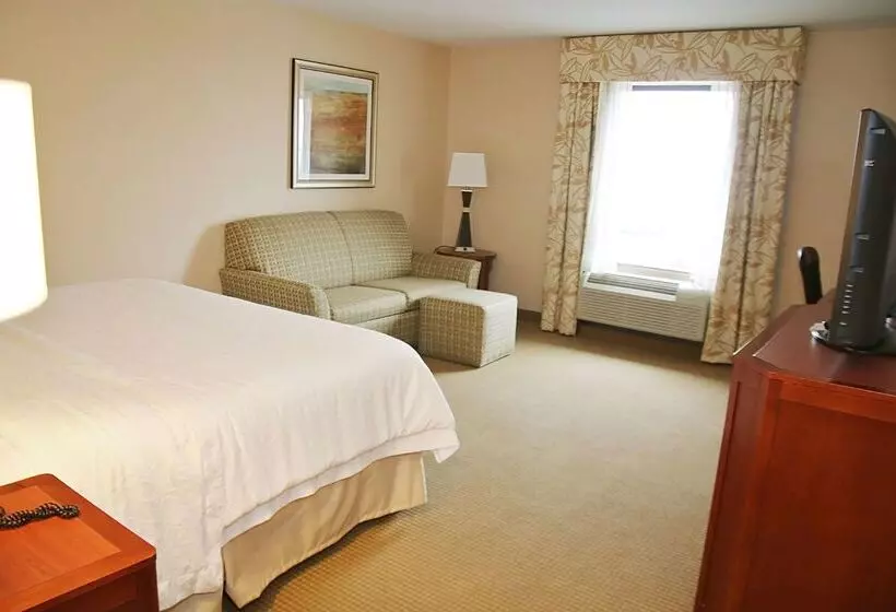 ホテル Hampton Inn Detroit/auburn Hillsnorth