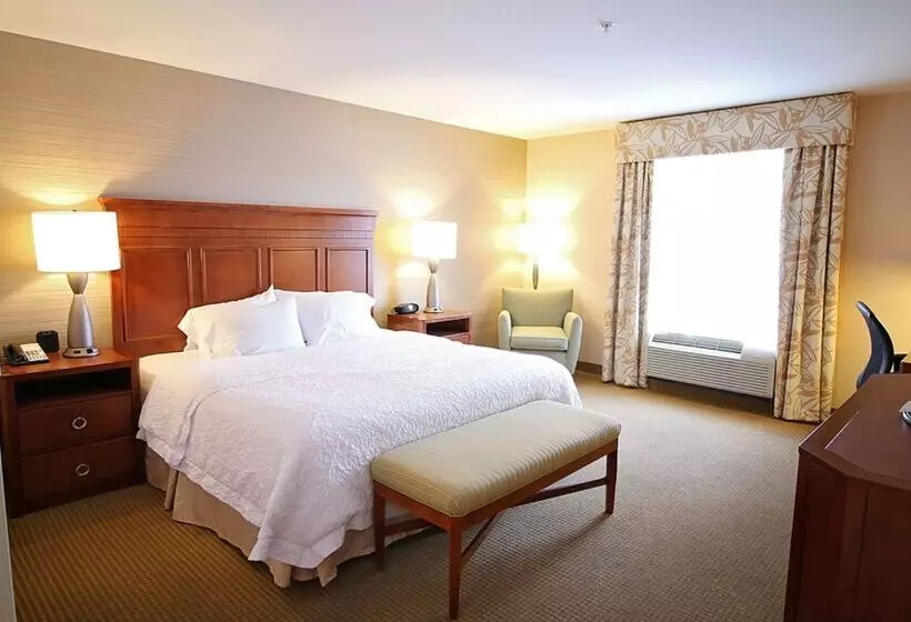 ホテル Hampton Inn Detroit/auburn Hillsnorth