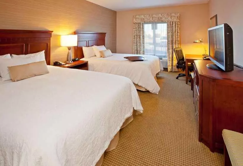 ホテル Hampton Inn Detroit/auburn Hillsnorth