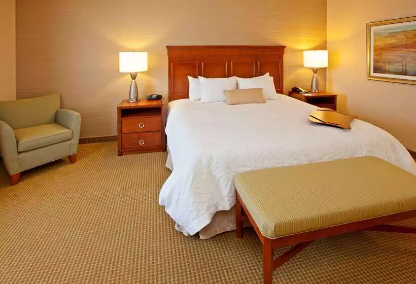 ホテル Hampton Inn Detroit/auburn Hillsnorth