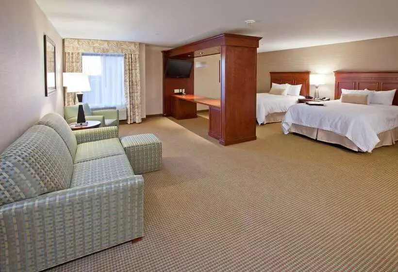 ホテル Hampton Inn Detroit/auburn Hillsnorth