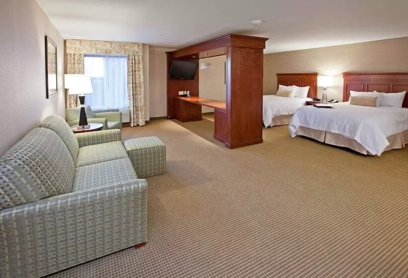 ホテル Hampton Inn Detroit/auburn Hillsnorth