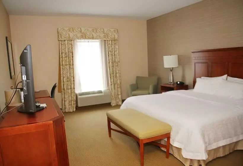 ホテル Hampton Inn Detroit/auburn Hillsnorth