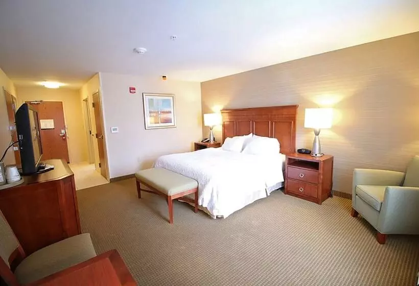 ホテル Hampton Inn Detroit/auburn Hillsnorth