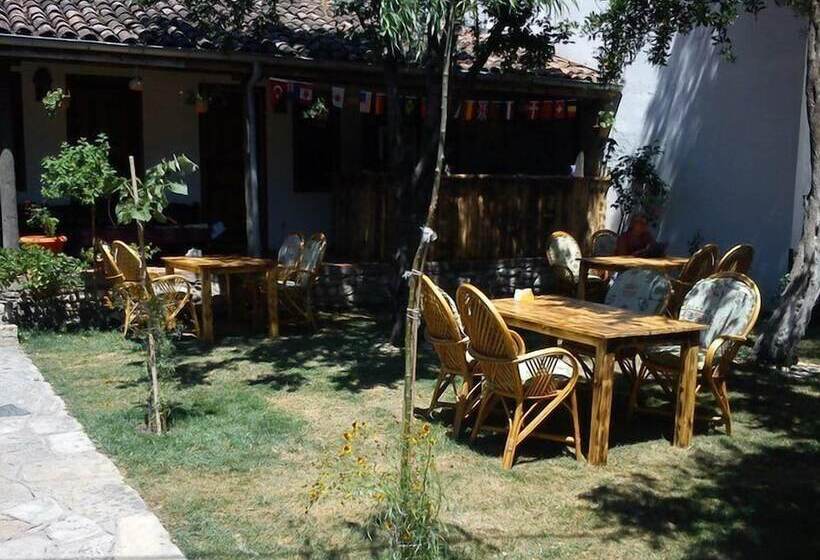 فندق Boomerang Guest House